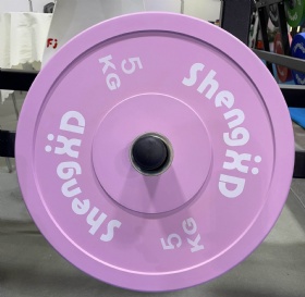 Macaron Colored Rubber Bumper Plate